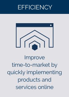 Improve time-to-market by quickly implementing products and services online